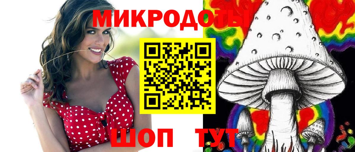 Псилоцибиновые грибы прущие грибы Майкоп