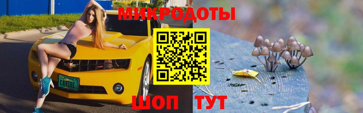 Псилоцибиновые грибы Psilocybe  Вход с VPN  Майкоп 